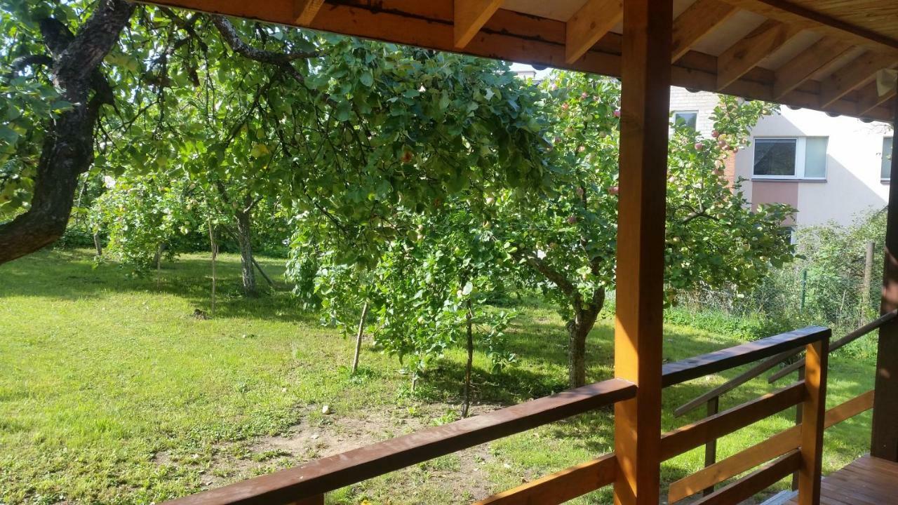 Vasarnamis Zarasuose Villa ซาราเซ ภายนอก รูปภาพ