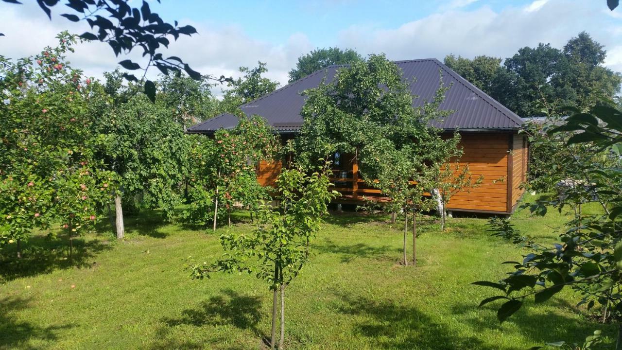 Vasarnamis Zarasuose Villa ซาราเซ ภายนอก รูปภาพ
