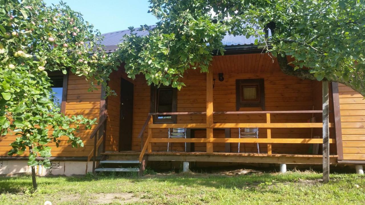 Vasarnamis Zarasuose Villa ซาราเซ ภายนอก รูปภาพ