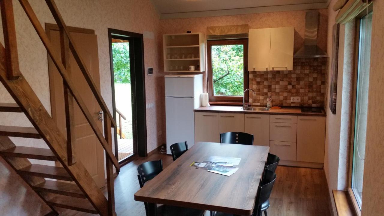 Vasarnamis Zarasuose Villa ซาราเซ ภายนอก รูปภาพ